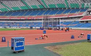 贝博体育-田径夜战：洞庭银狐队逆转三湘猎隼队，主帅临场妙招中场绞杀压制对手(猎隼电视剧全集免费播放高清在线观看)